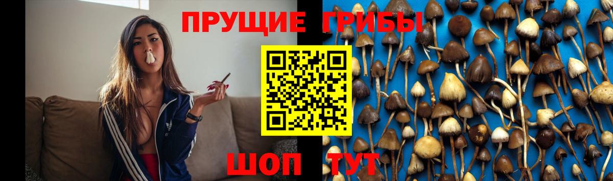 Псилоцибиновые грибы GOLDEN TEACHER Симферополь