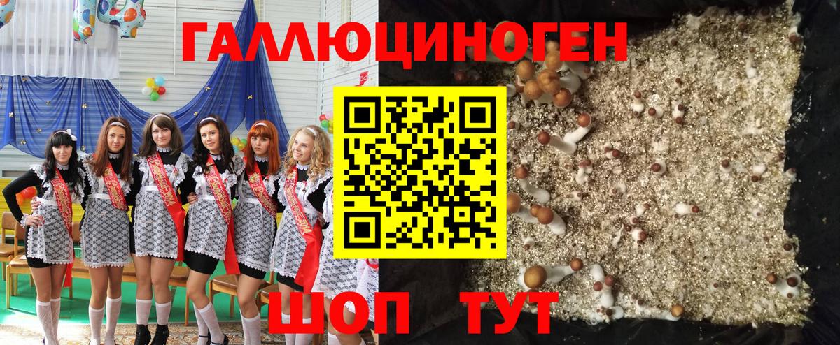 Псилоцибиновые грибы MAGIC MUSHROOMS  Галлюциногенные грибы Cubensis  Вход с VPN  Симферополь 